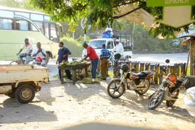 DSC_7980 (Large).JPG